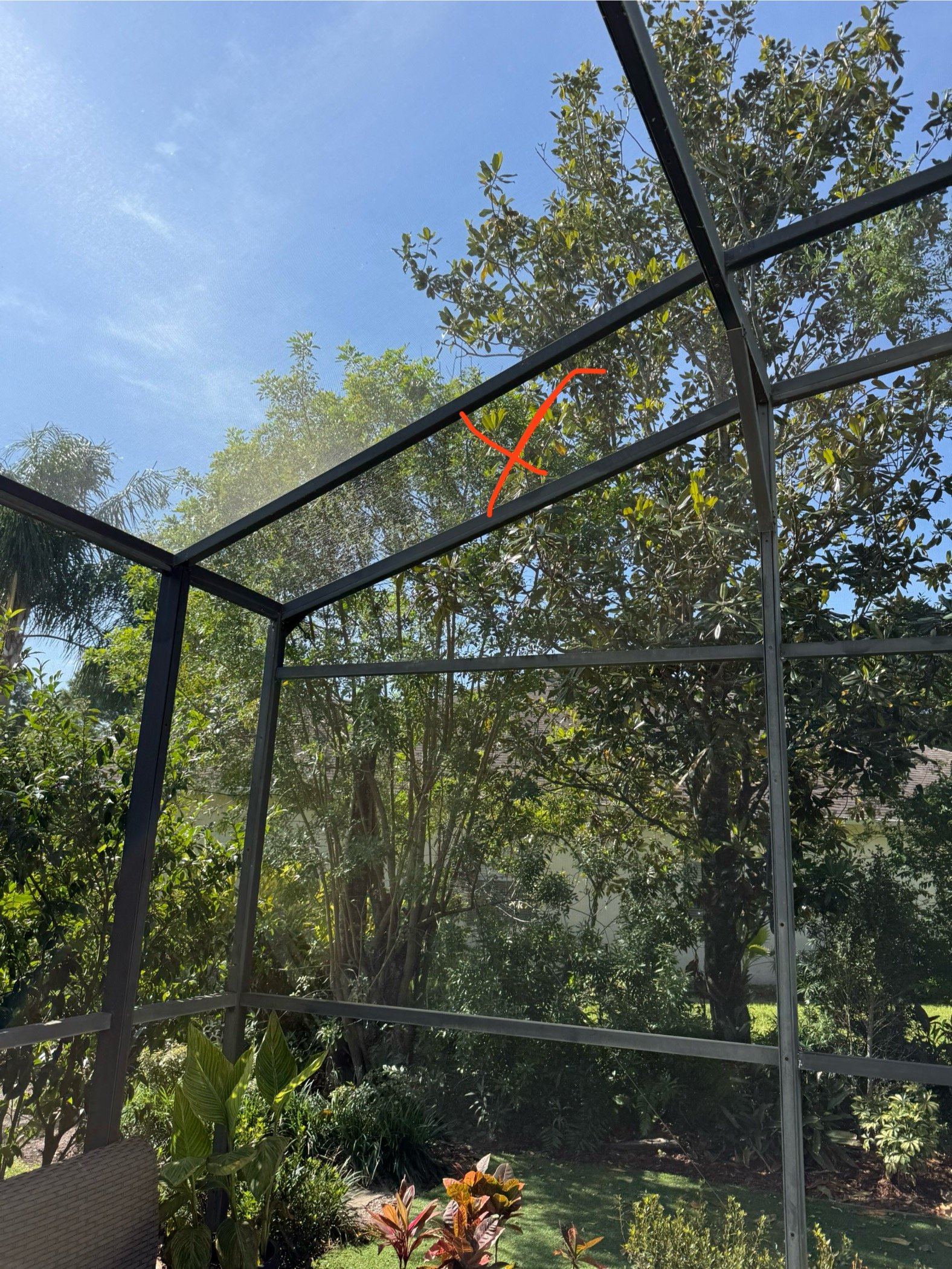 Winter Garden pool screen repair panel replacement on a pool enclosure