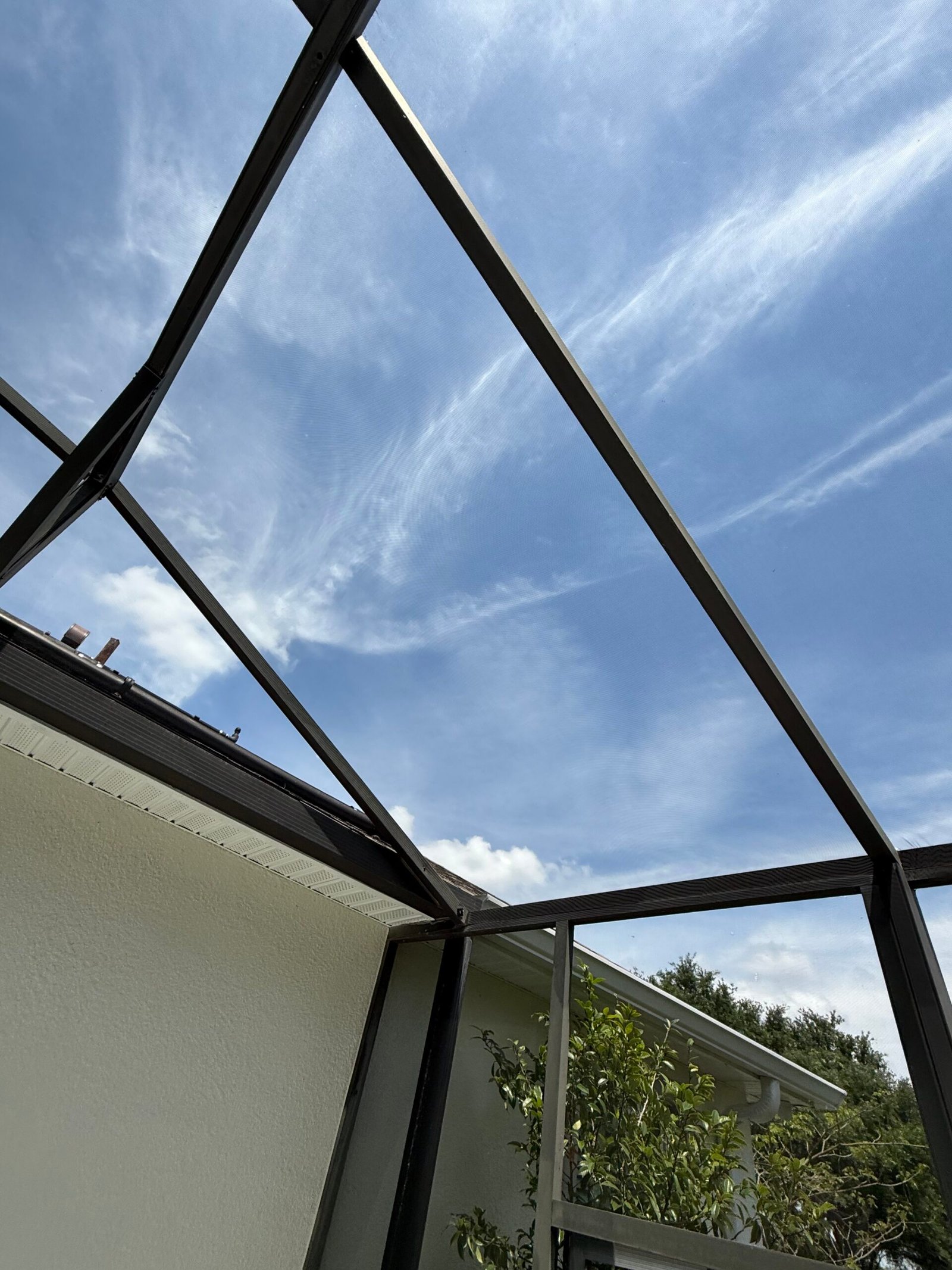 Winter Garden window screen repair and replacement with fresh mesh